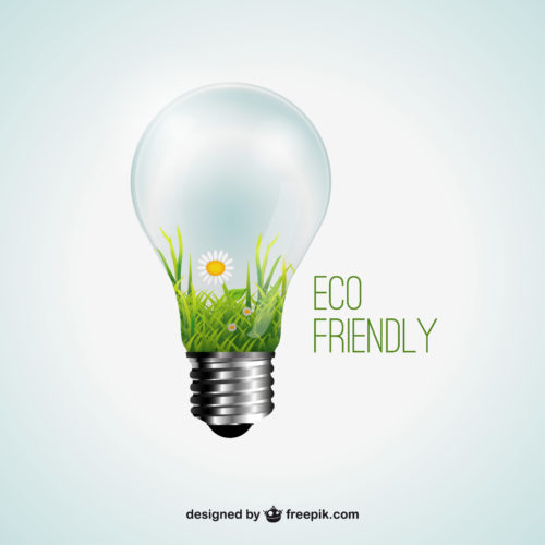 belleza y medio ambiente